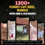 1300+ funny cat Reels Bundle