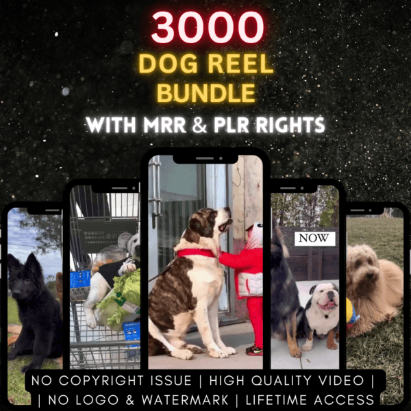 3000 Dog Reels Bundle