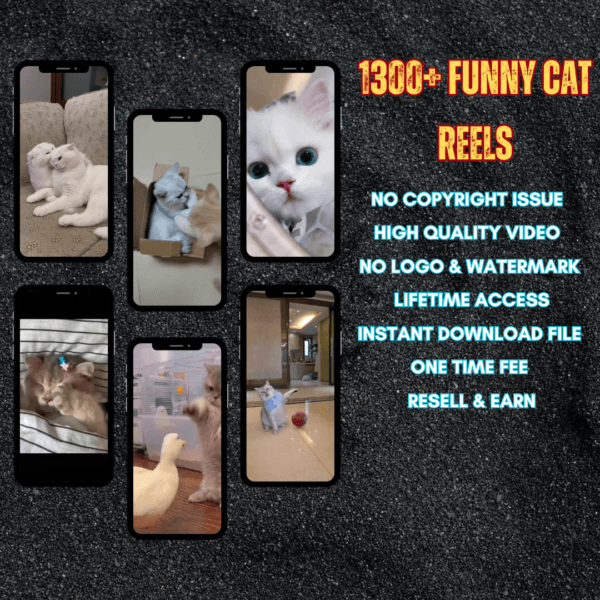 1300+ funny cat Reels Bundle