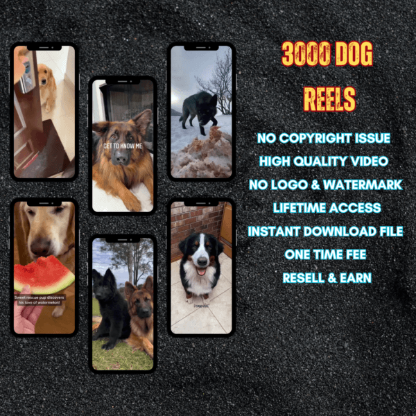 3000 Dog Reels Bundle