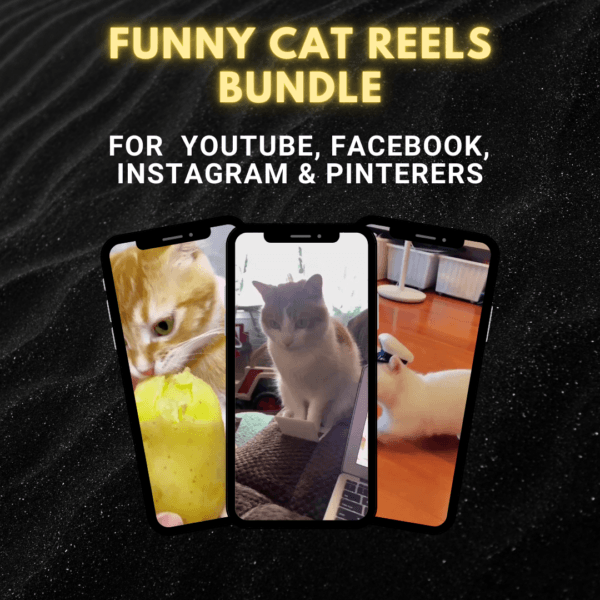 1300+ funny cat Reels Bundle