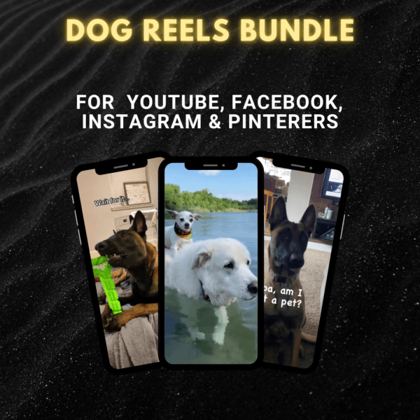 3000 Dog Reels Bundle